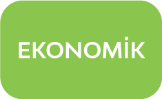 Ekonomik